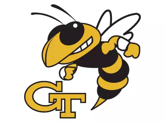 Georgia Tech  - Technology, Career Development 