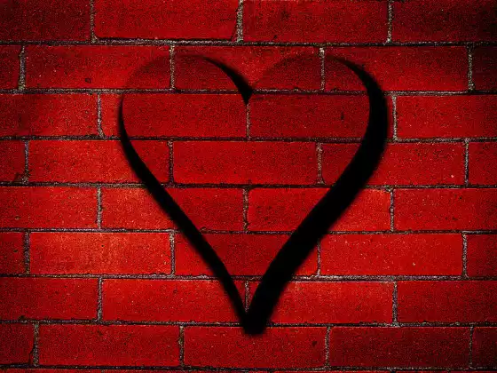 Releasing Heart Walls for Success and Happiness