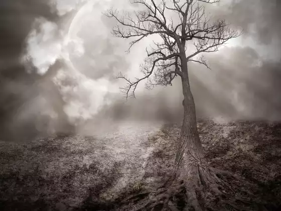 Letting Go of Self-Pity Meditation 2 
