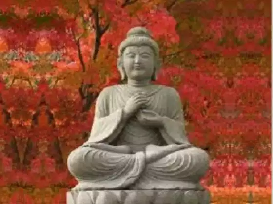 The Art of Manifesting -  Understanding  the cycles of nature : Fall/Mabon