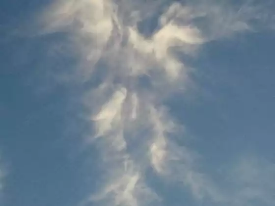 Learning About Your Angels