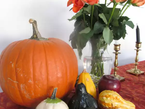 What Witches really do on Halloween