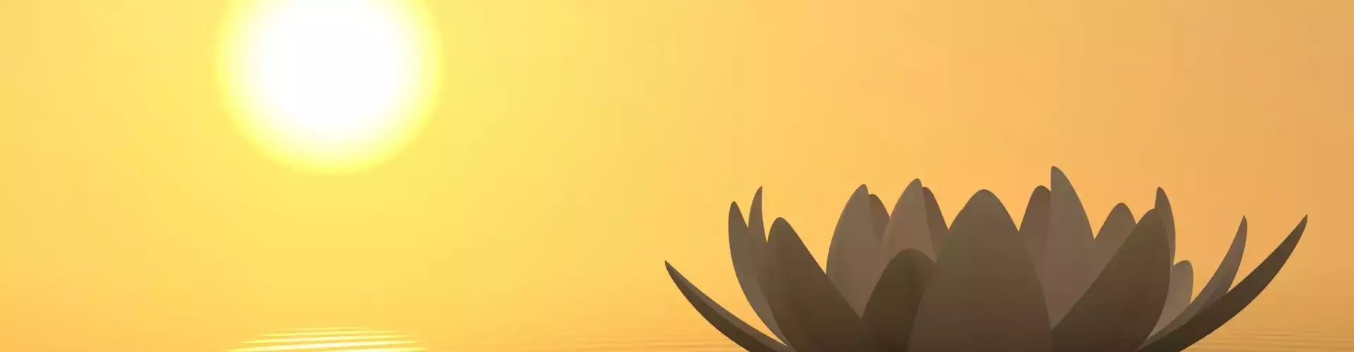 Mindfulness, A Practice to Improve Your Health and Work