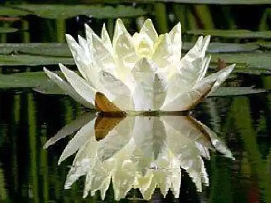 MEDITATION WORKSHOP