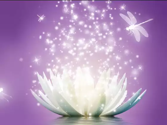 SG Higher Self
