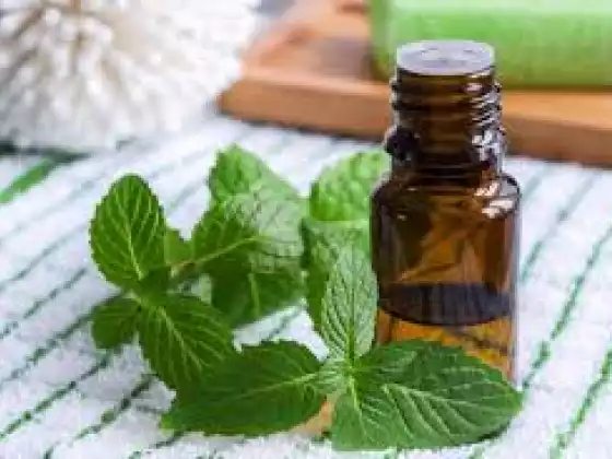 Peppermint Essential Oil