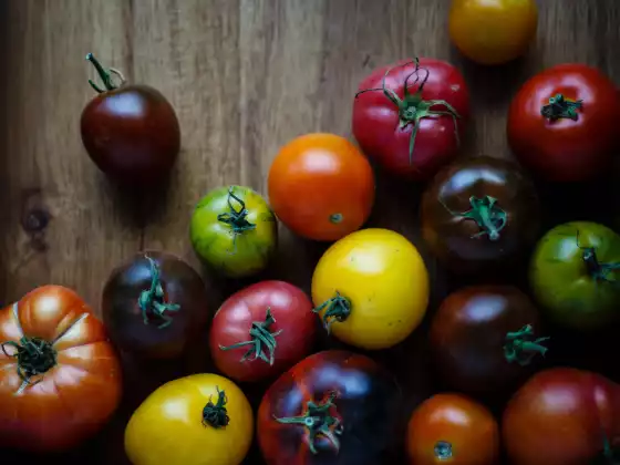Genomic Kitchen Pro Course March - April 2018