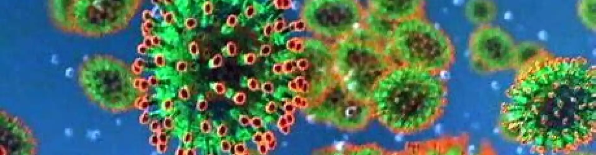 IMMUNE SYSTEM - COVID19 - Online Class by Laura Llacuna