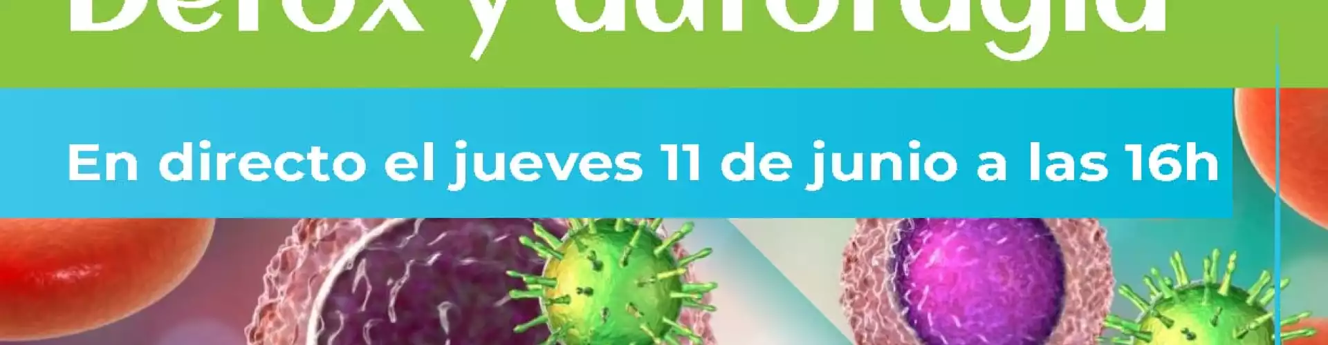 Sistema Immune-Detox y Autofagia - Online Class by Laura Llacuna