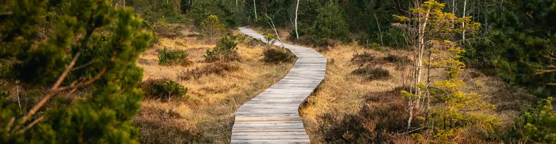 Les dimanches spirituels de l'Ascension