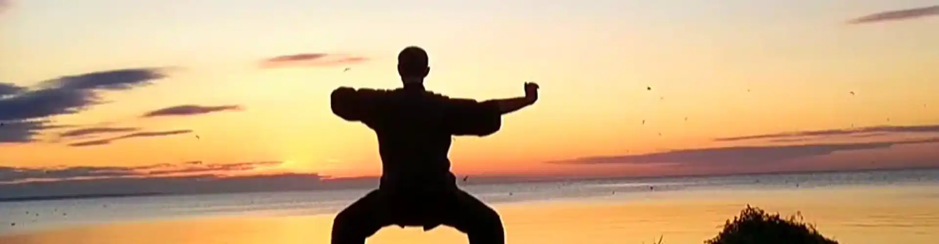 1 ora di Qigong con 8 broccati di seta